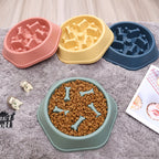 Slow Feed Dog Bowl