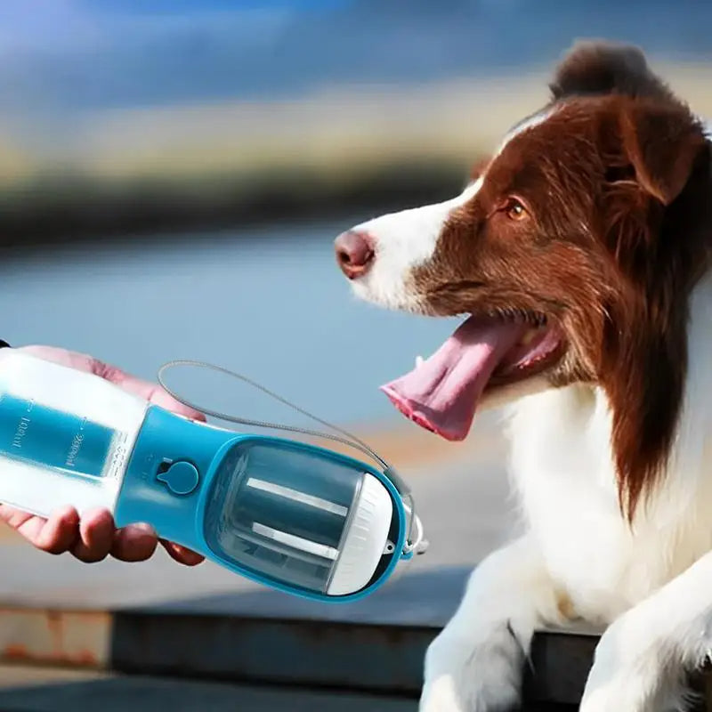 3-in-1 Portable Pet Cup