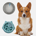 Slow Feeder Pet Bowl