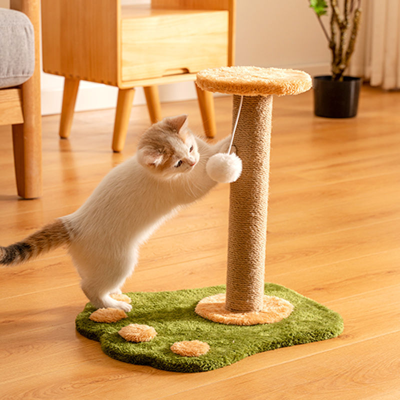 Premium Sisal Cat Scratcher