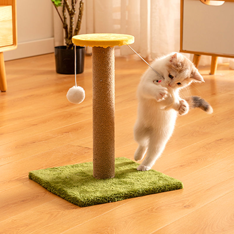 Premium Sisal Cat Scratcher
