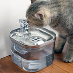 Smart Pet Water Fountain – Stainless Steel